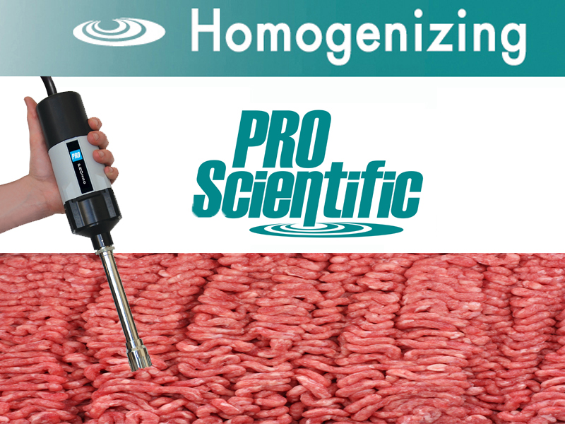 Raw animal protein homogenization